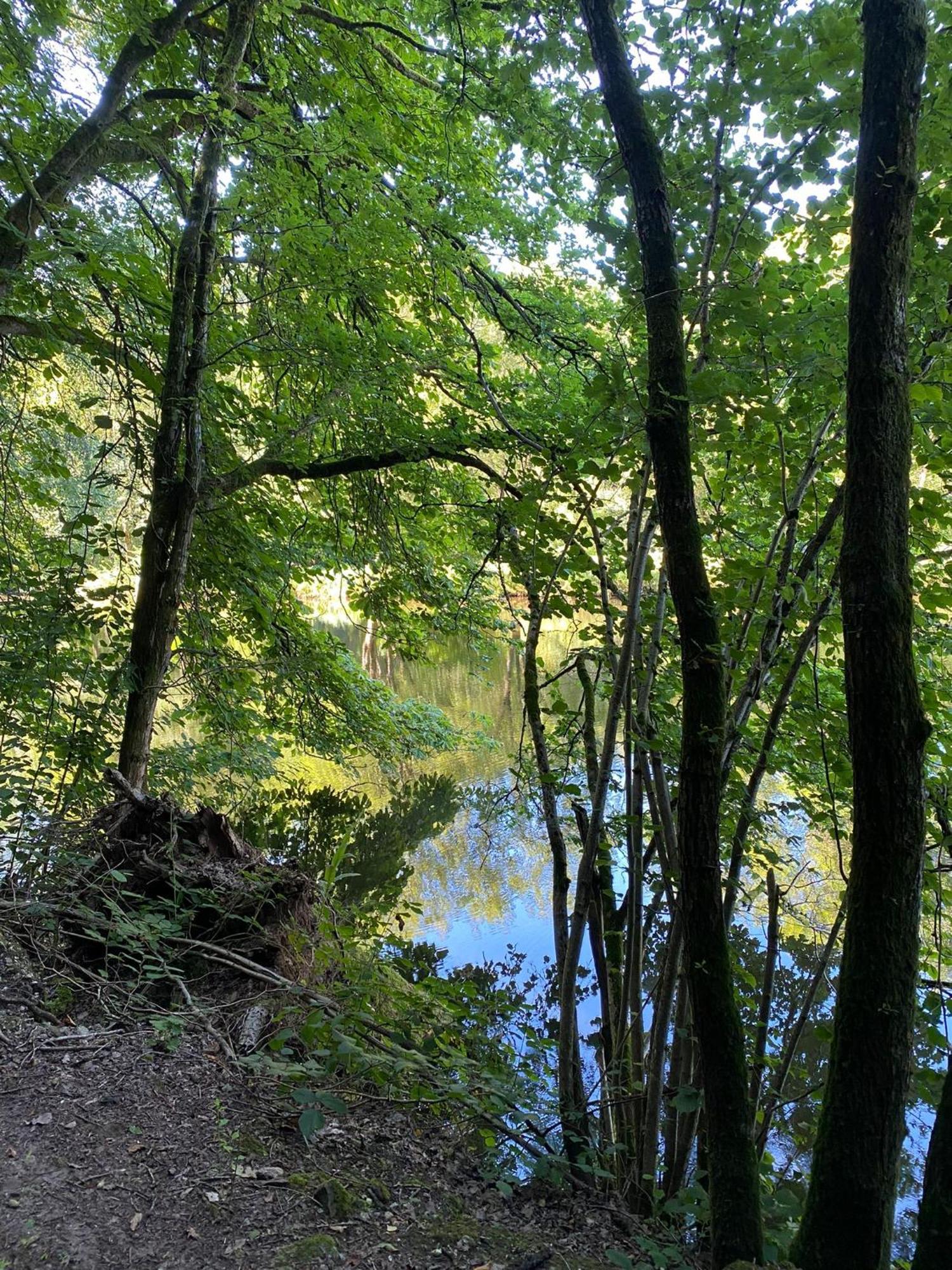Ferienhaus Vulkaneifel Abtei Himmerod Großlittgen Extérieur photo