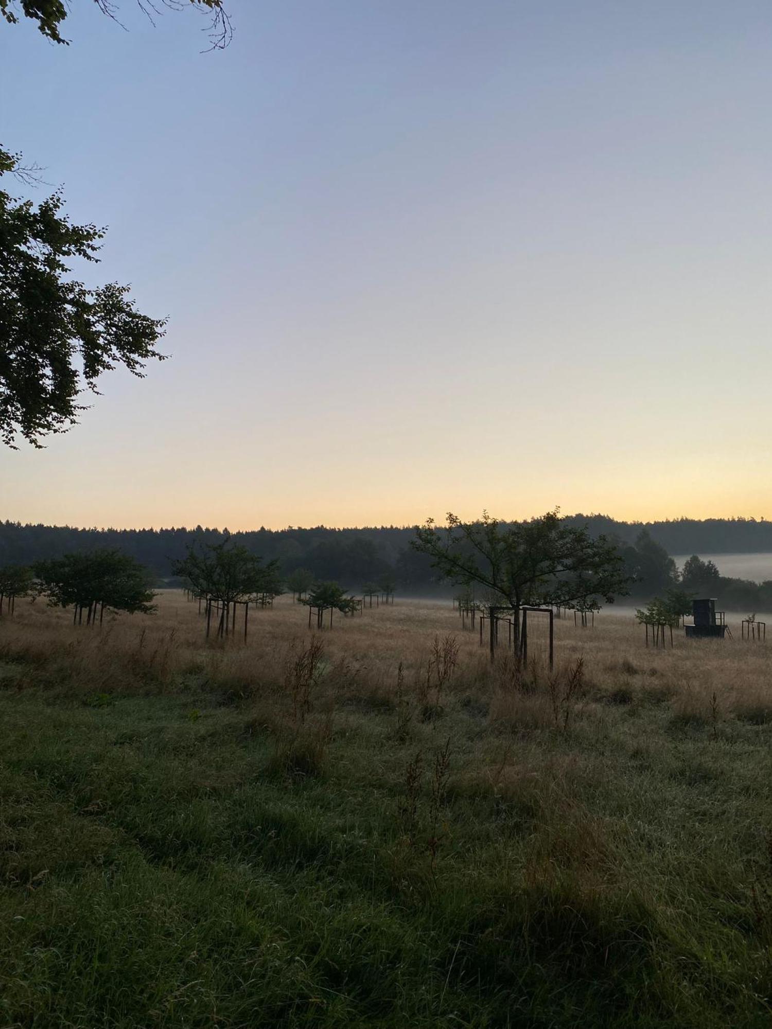 Ferienhaus Vulkaneifel Abtei Himmerod Großlittgen Extérieur photo