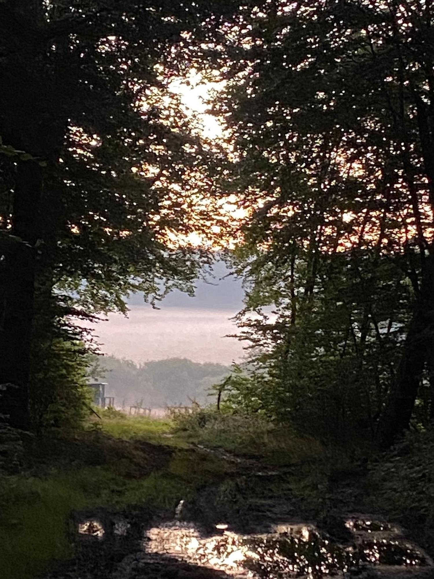 Ferienhaus Vulkaneifel Abtei Himmerod Großlittgen Extérieur photo