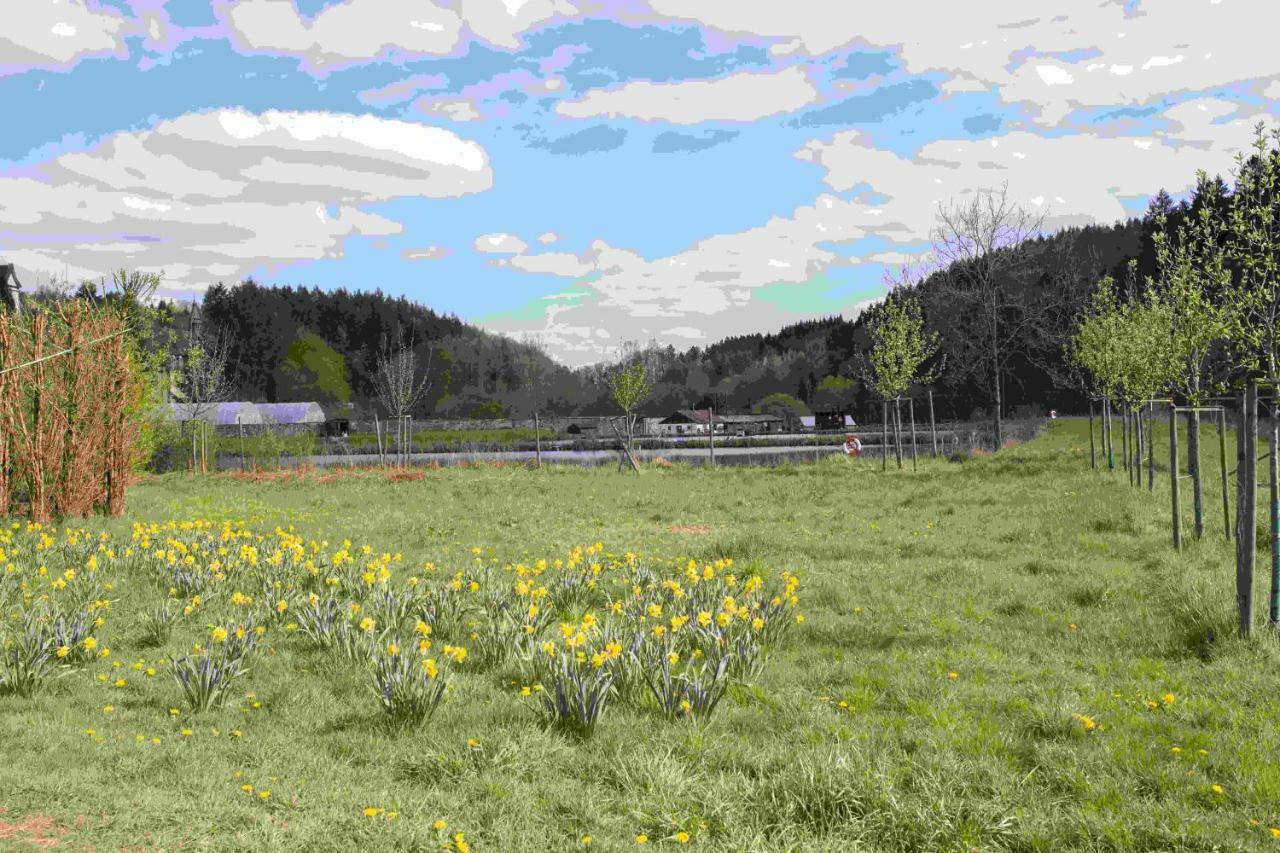 Ferienhaus Vulkaneifel Abtei Himmerod Großlittgen Extérieur photo
