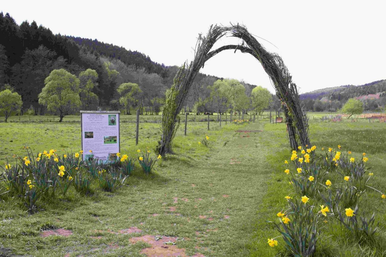 Ferienhaus Vulkaneifel Abtei Himmerod Großlittgen Extérieur photo